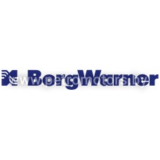 BorgWarner Cooling Systems GmbH
